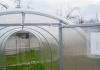 Теплица "ГАРАНТ-МИНИ"